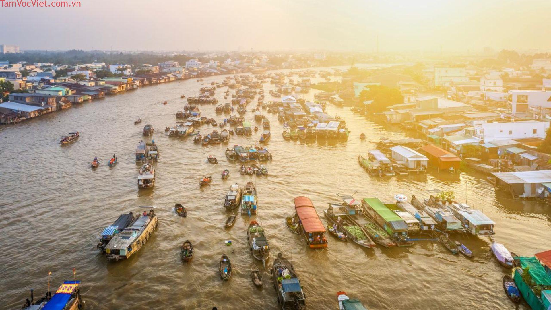 Chợ nổi Cái Răng: Cẩm nang du lịch trải nghiệm hoàn hảo 2025