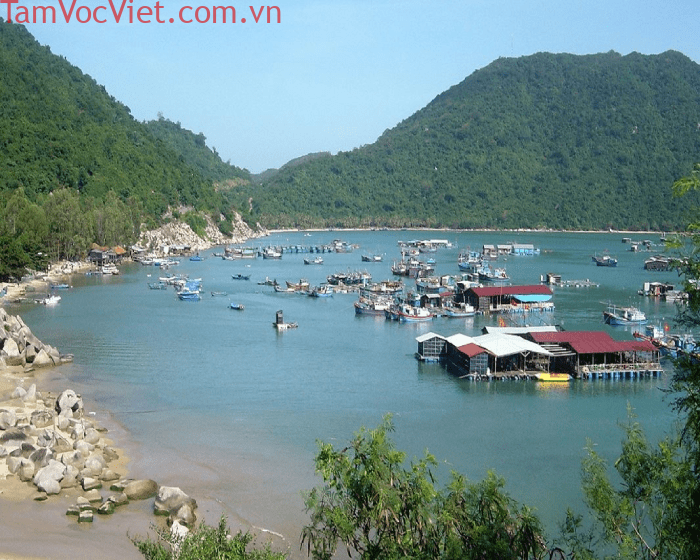 Khám phá Vũng Rô Phú Yên – Vịnh biển với vẻ đẹp hoang sơ “say đắm” lòng người – VinWonders