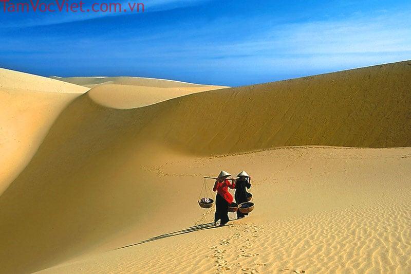 Đồi cát Phương Mai - điểm đến đẹp hoang sơ, ấn tượng