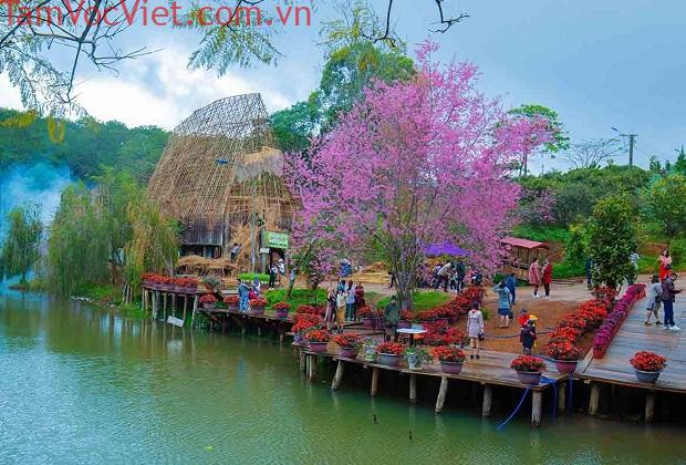 Kinh nghiệm du lịch Măng Đen - Kon Tum toàn tập