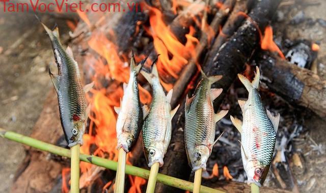Loài cá của hiếm, cực ngon ở vùng rừng núi: Xưa rẻ, nay thành đặc sản tới 300.000 VNĐ/kg được "đỏ mắt" săn lùng
