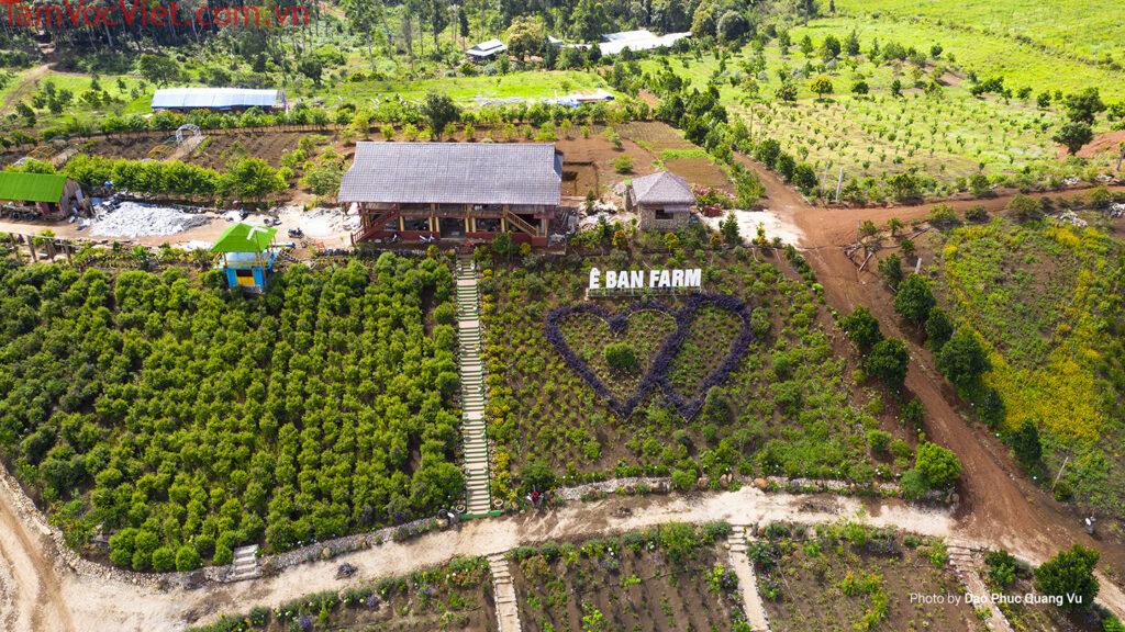 Top 5 Farm ở Măng Đen được khách du lịch check in nhiều nhất : XuKien Blogger