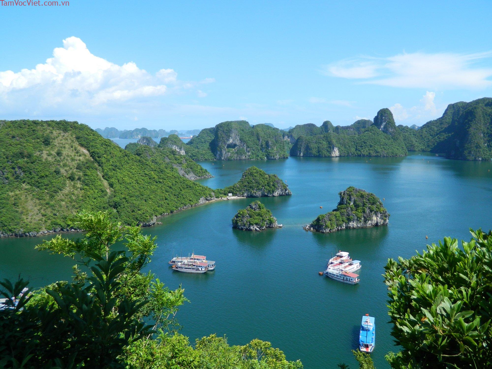 Ti Top Island (Vịnh Hạ Long, Việt Nam) - Đánh giá - Tripadvisor