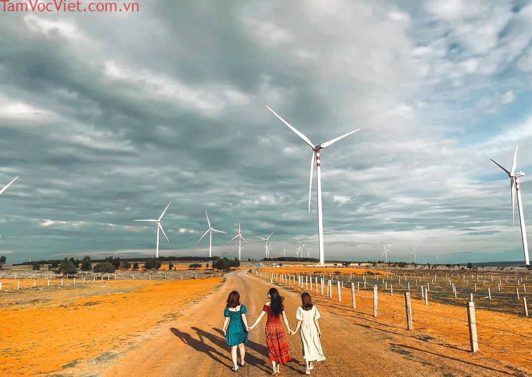 Cánh đồng quạt gió Mũi Né điểm check in lý tưởng của du khách trẻ