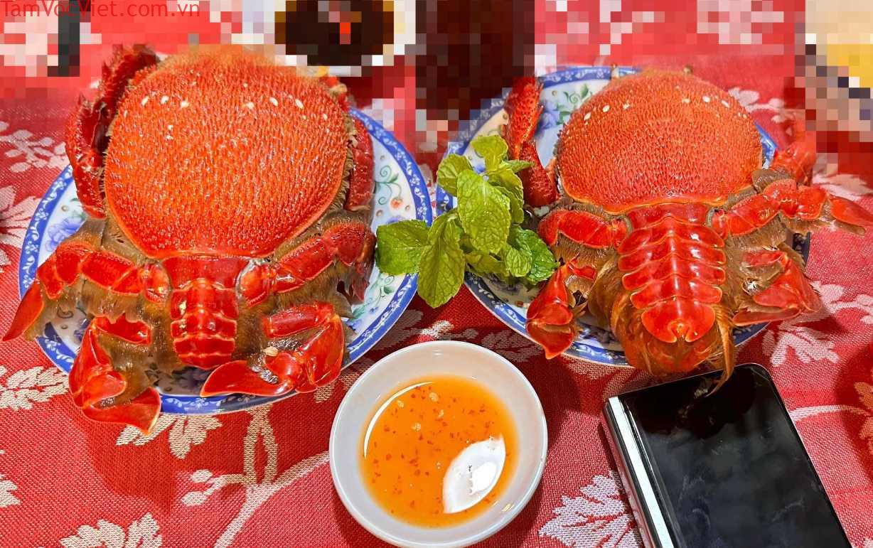 Ngư dân Phú Quý bẫy cua huỳnh đế ở vùng nước sâu, bán giá tiền triệu mỗi kg