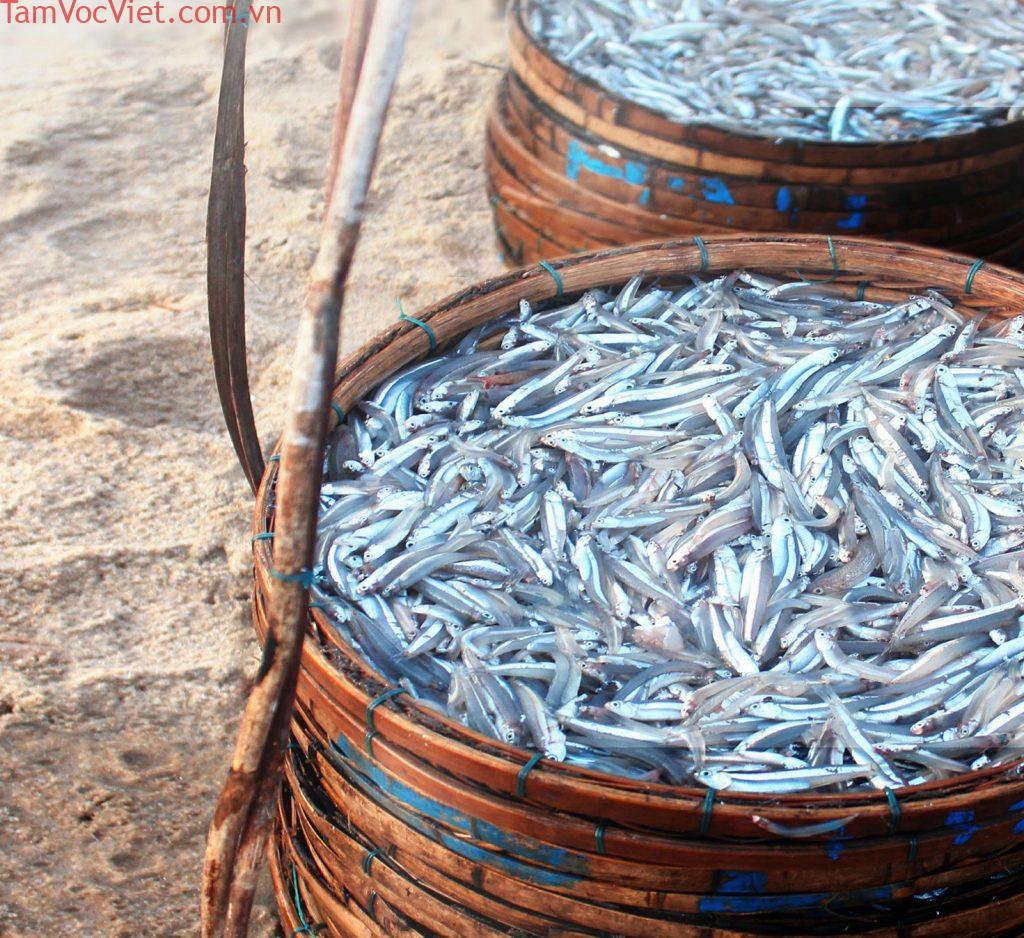 Cá Cơm Một Nắng Cù Lao Chàm Mặn Mòi Hương Vị Biển Cả