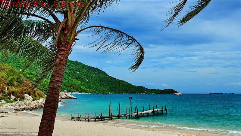 Bãi Ông Cù Lao Chàm: Kinh nghiệm du lịch ĐẦY ĐỦ NHẤT 2026