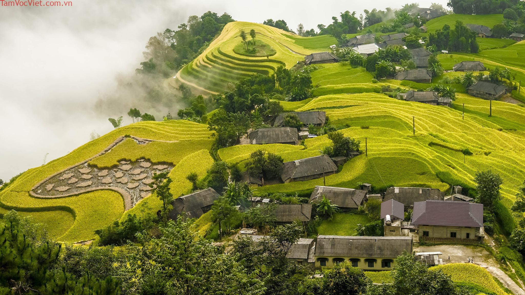 Du lịch Hà Giang nhất định không thể bỏ lỡ Hoàng Su Phì - iVIVU.com