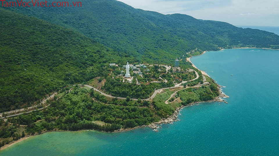 Khám Phá Bán Đảo Sơn Trà A-Z: Cẩm Nang Du Lịch Tự Túc 2026
