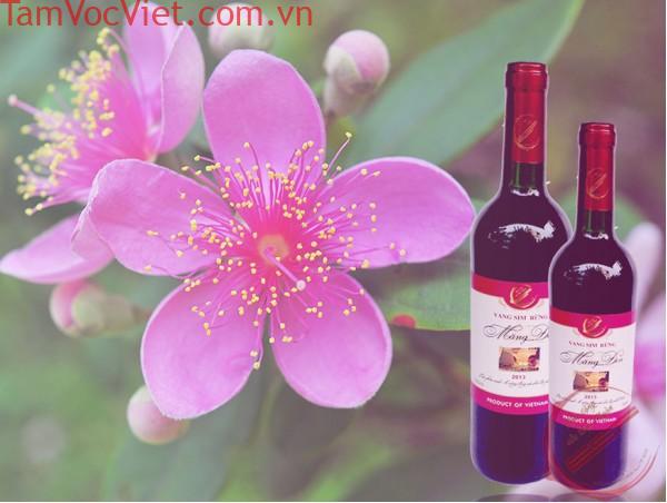 Rượu vang sim của Kon Tum – “Quà tặng của đại ngàn”, Rượu Vang Sim rừng Măng Đen, Rượu Vang Sim, Rượu Sim, Rượu Vang, Vang Sim, Vang Sim Rừng, Măng Đen, Đắk Long, Kon Plông, Kon Tum, Nước chiết sâm dây, Nước ép trái sim rừng, Nước