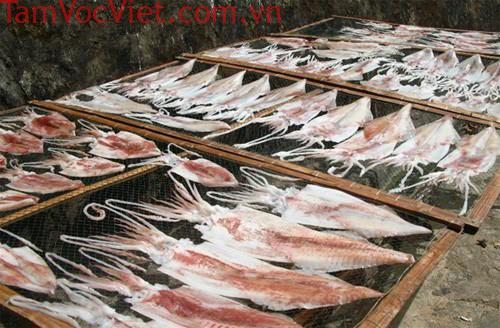 Kinh nghiệm du lịch Cù Lao Chàm