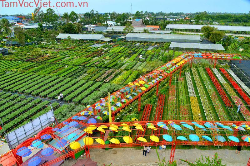 Làng hoa Sa Đéc: Vị trí, điểm thu hút, kinh nghiệm du lịch và chọn tour