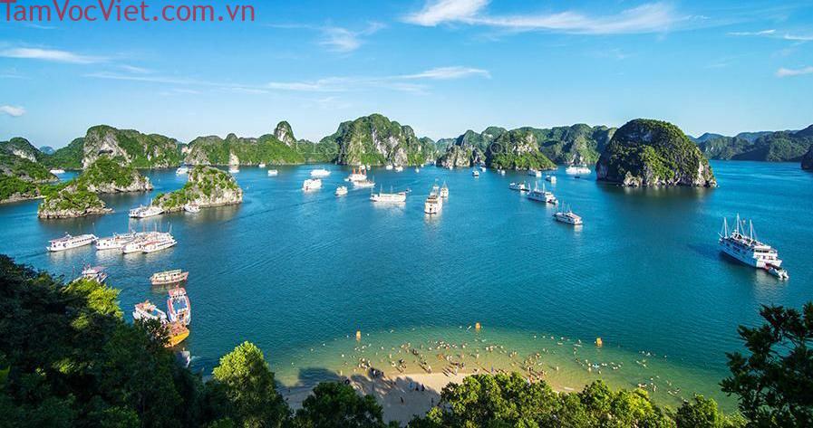 Top 6 hòn đảo đẹp nhất ở Hạ Long được khách du lịch bình chọn | HaLongwave