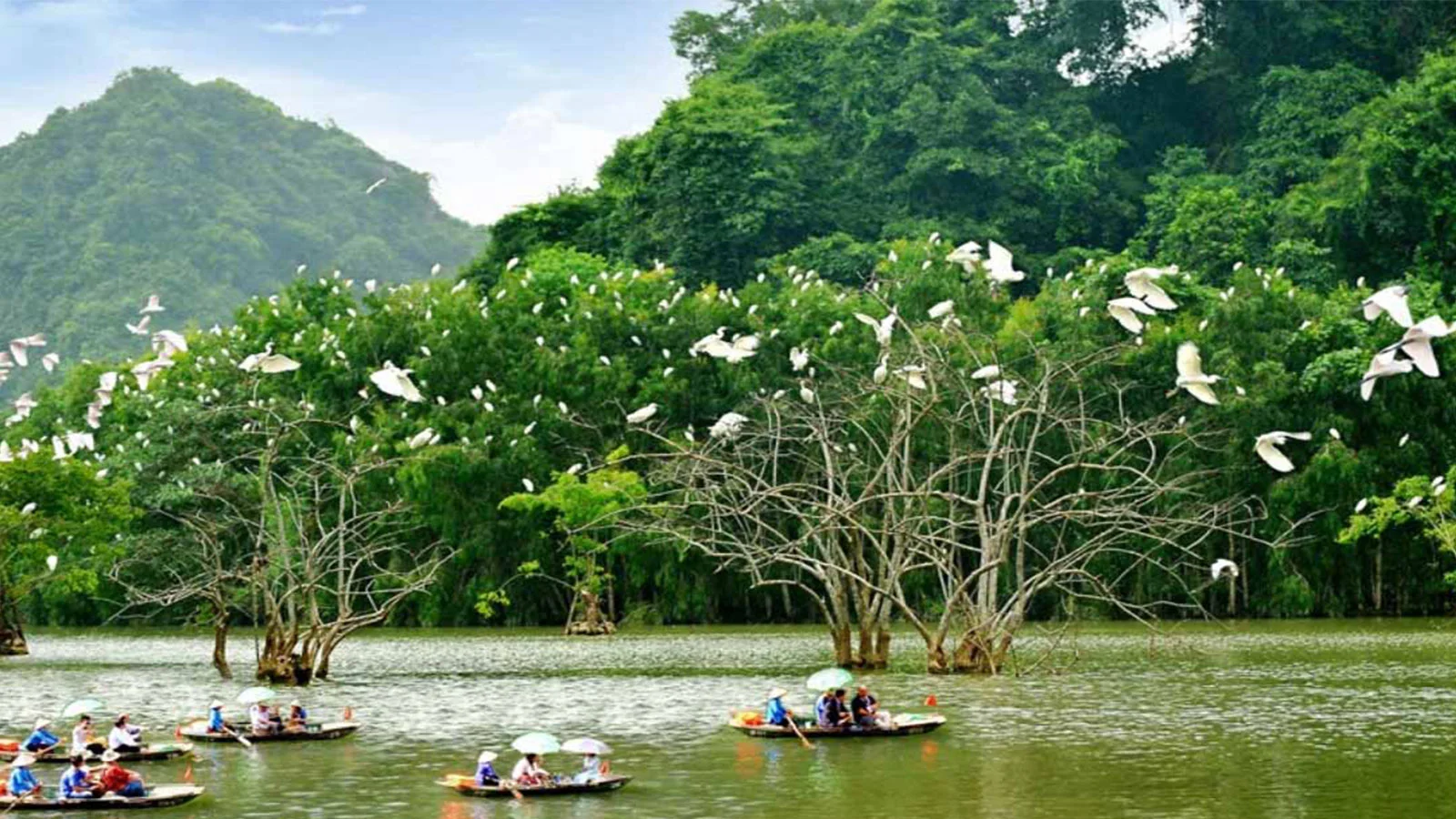 Vườn chim Thung Nham, Ninh Bình