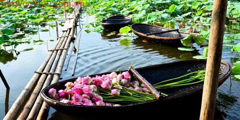 Khu du lịch Đồng Tháp Mười Long An, Việt Nam