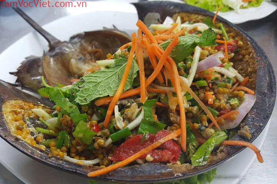 Sam biển | Đặc sản Quảng Ninh