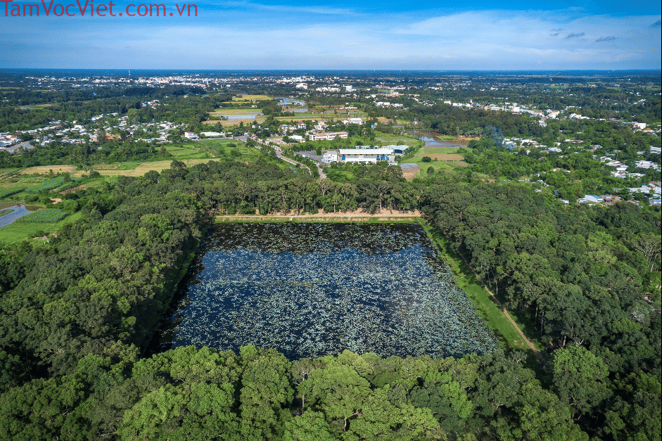 Ao Bà Om – Viên ngọc xanh giữa lòng Trà Vinh thơ mộng