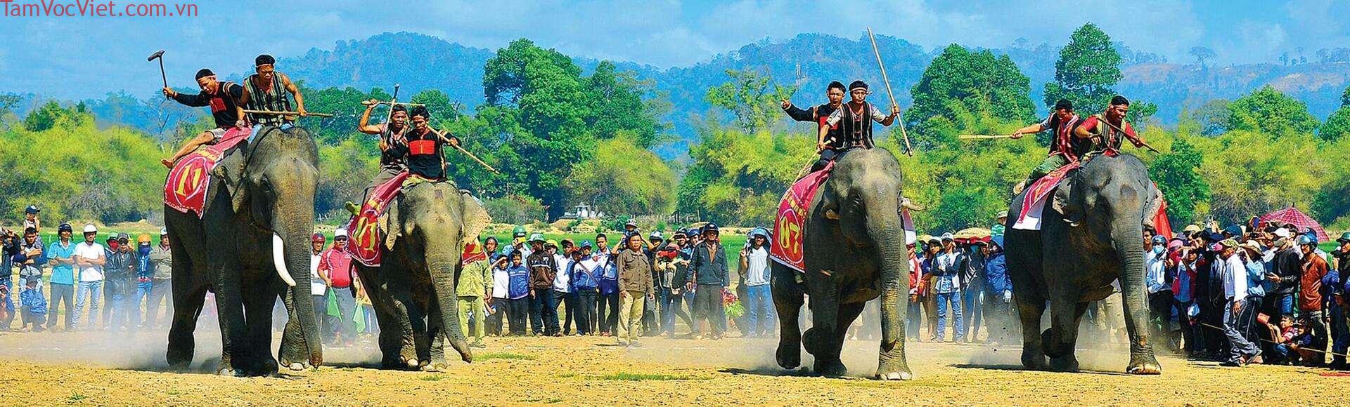 Du lịch buôn Đôn với nhiều trải nghiệm thú vị