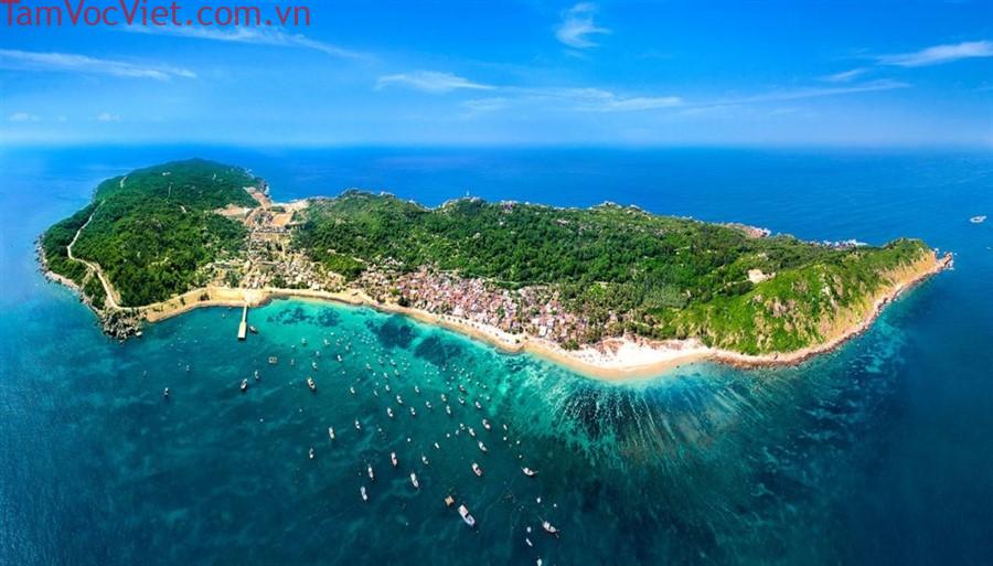TOUR GHÉP CÙ LAO XANH 2026 - Cam kết khởi hành hàng ngày tại Quy Nhơn - Công ty du lịch Quy Nhơn Tourist Công ty du lịch Quy Nhơn Tourist