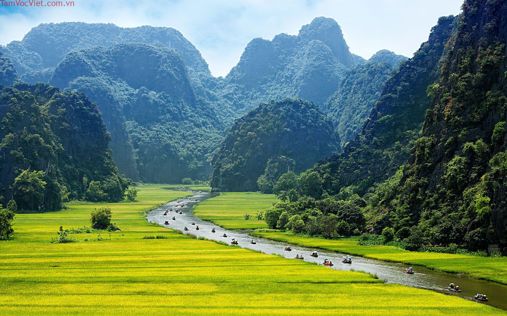 Visiting Vietnam with kids: a complete guide | Rough Guides
