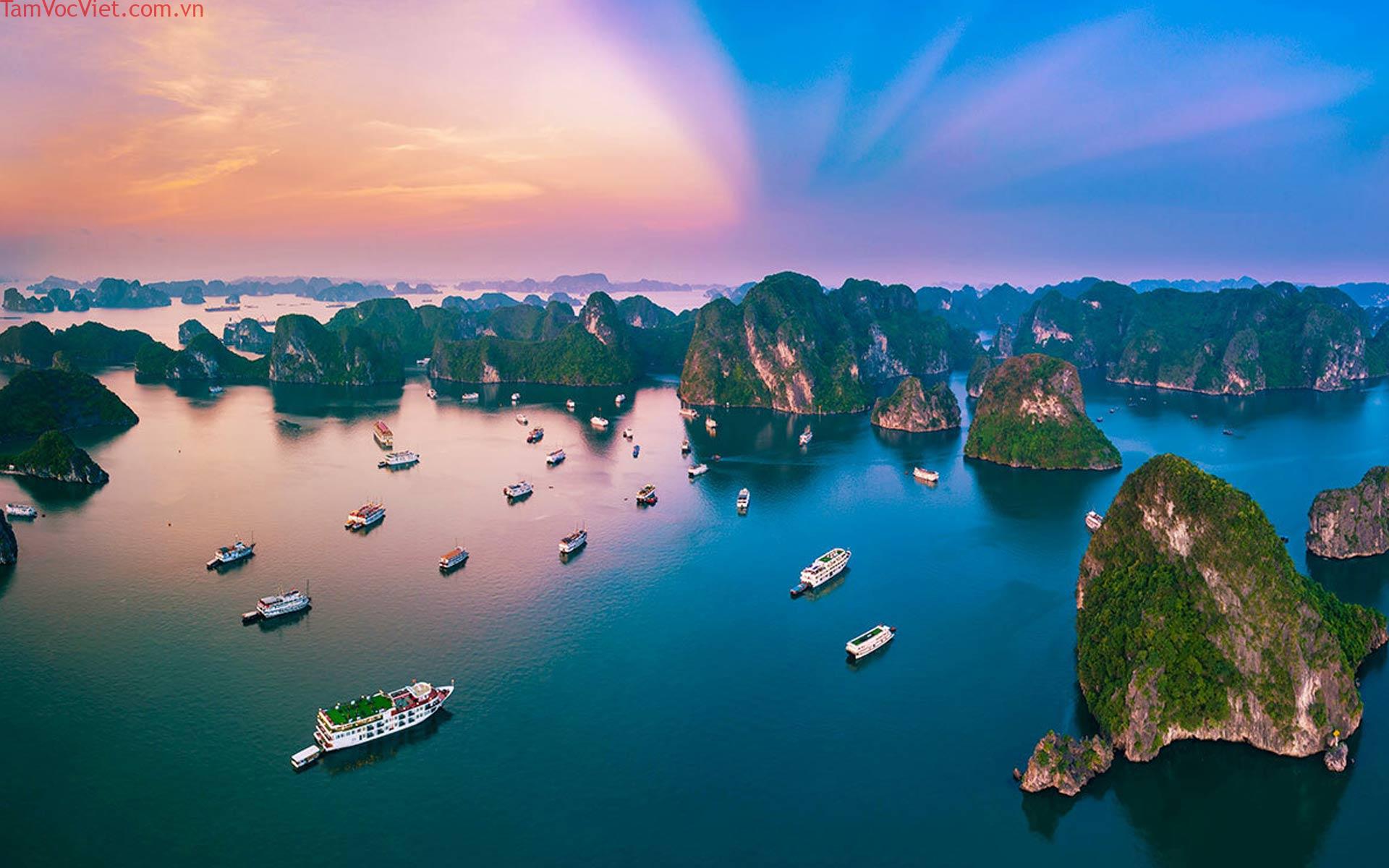 Explore Vinh Long: The Land of Fruits, Flowers and Culture
