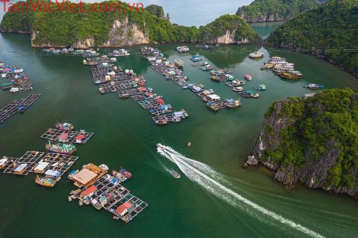 Làng chài Cái Bèo - Du ngoạn ngôi làng cổ tại Cát Bà