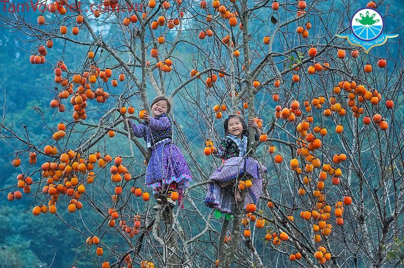 296377ca85127c4c2503