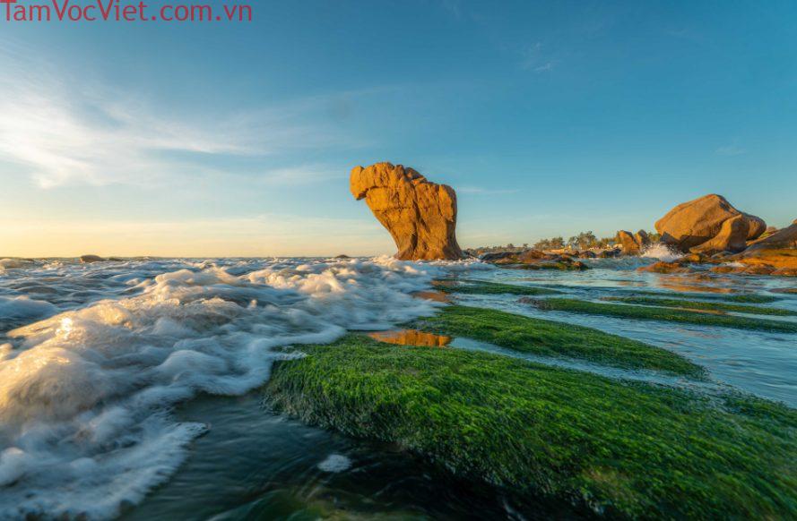 TOP 12 Bãi Biển Mũi Né - Phan Thiết Thơ Mộng Luôn Được Du Khách Săn Lùng