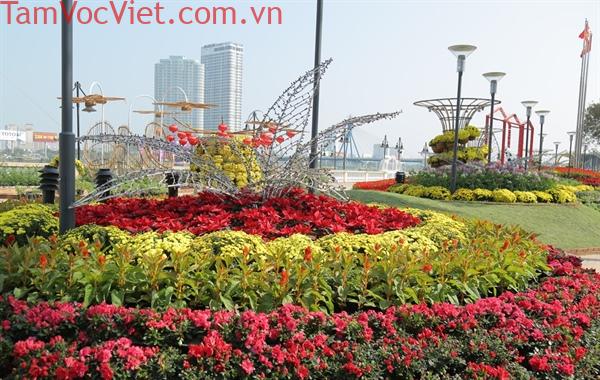 4649Đường-hoa-Xuân-sắc-màu_a-Nang-2018-(17)