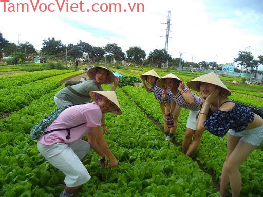 Tour Trải Nghiệm – Một Ngày Làm Nông Dân Tại Làng Rau Trà Quế Hội An – Du  Lịch Bạn Đồng Hành