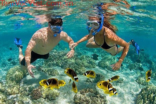 Chia sẻ Kinh nghiệm, Địa chỉ lặn biển ngắm san hô ở Đà Nẵng
