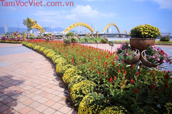 8a964378-be74-44d4-9d36-effb515ad4ef