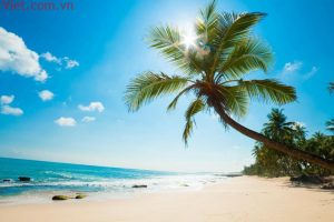 [KINH NGHIỆM DU LỊCH] Đảo Ngọc Phú Quốc – Kỳ nghỉ chuẩn 5 sao của bạn