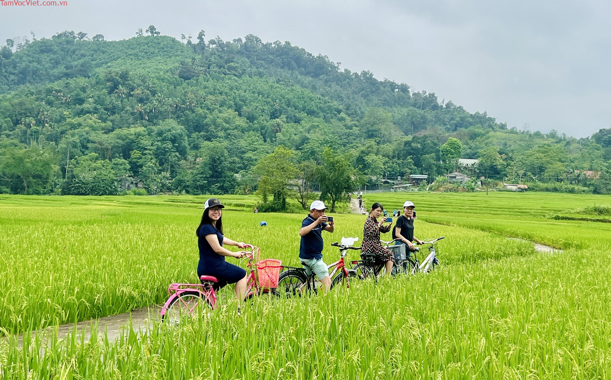 Thử một lần đạp xe quanh ruộng lúa xanh rì giữa núi non 'quên hết ưu phiền'