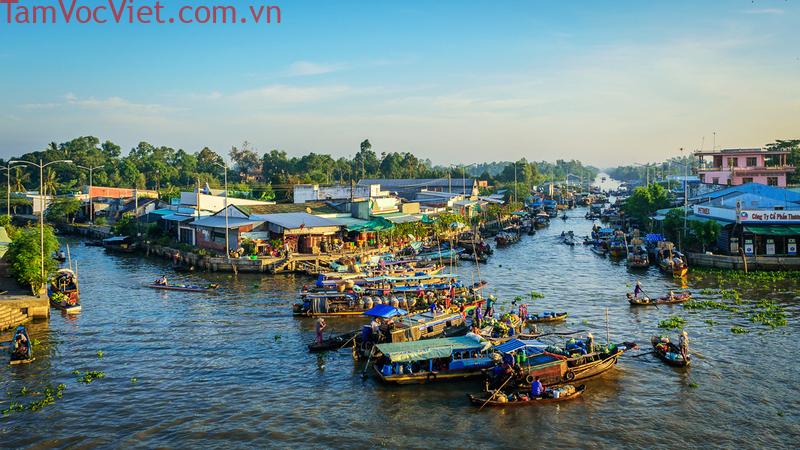 Cồn Mỹ Phước - Khám Phá hòn đảo xanh xinh đẹp của Hậu giang