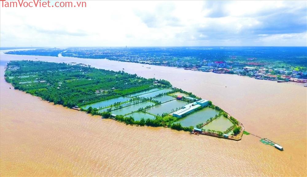 Review cực có tâm Kinh nghiệm đi Cồn Sơn Cần Thơ