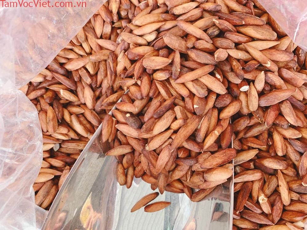 Nếm thử Mứt hạt bàng Côn Đảo thơm ngon quên lối về