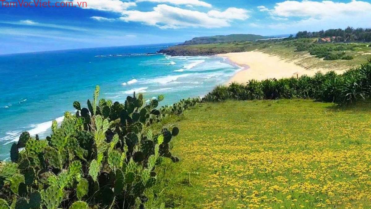 Bãi Xép - Khám phá làng chài đơn sơ của miền biển Phú Yên | Green SM
