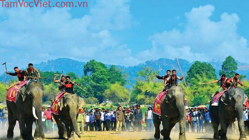 Du lịch Buôn Đôn (Đắk Lắk): 7 địa điểm không thể bỏ lỡ
