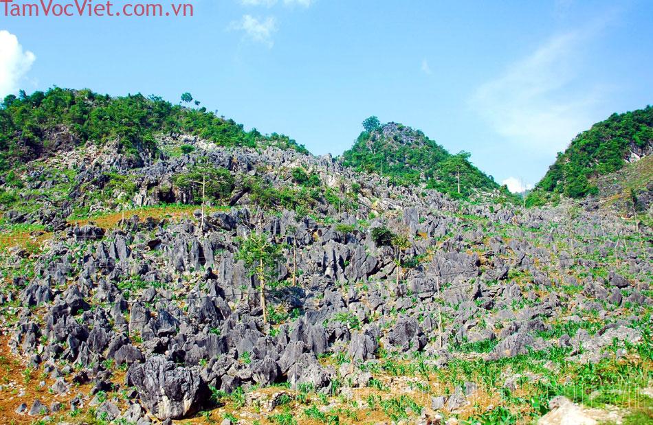 Vẻ đẹp cao nguyên đá Tả Phìn, Tủa Chùa (Điện Biên)