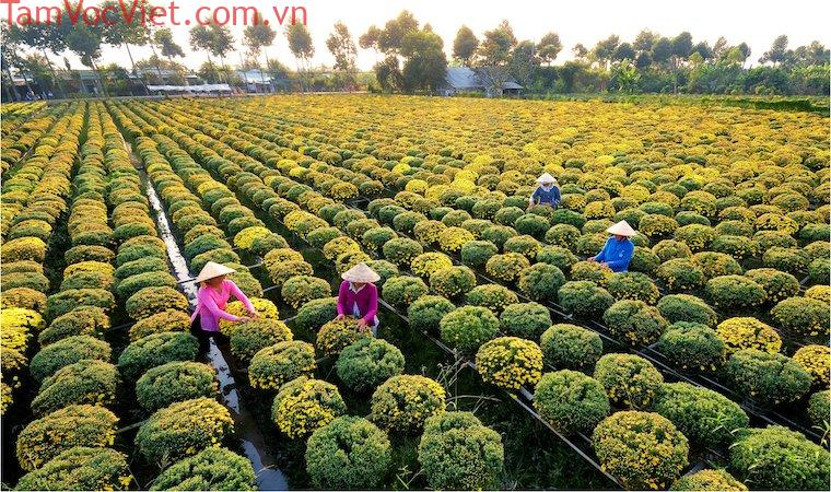 Làng hoa Sa Đéc