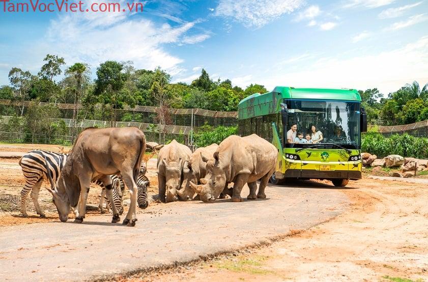 Trọn bộ] Kinh nghiệm đi Vinpearl Safari Phú Quốc 2026 đầy đủ, chi tiết nhất