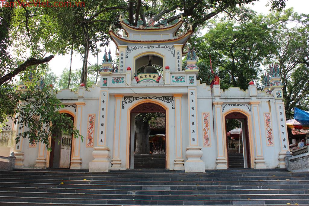 Chi tiết