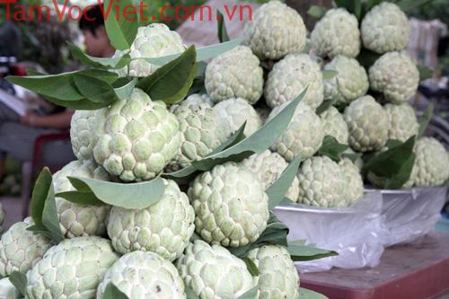 Na dai Chi Lăng - Đặc sản núi đá Xứ Lạng - Lạng Sơn Shop