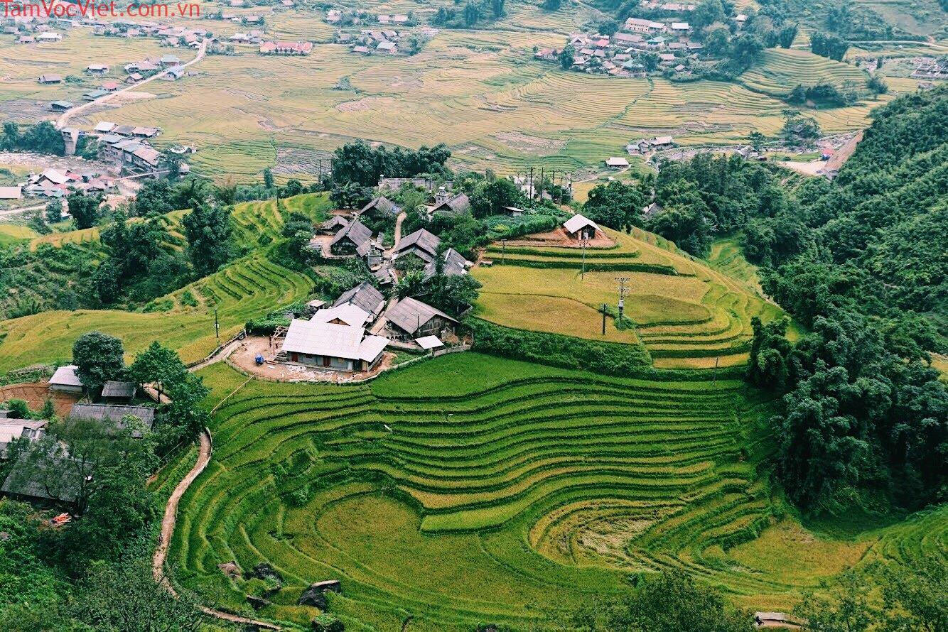 Kinh nghiệm du lịch Bản Tả Phìn - thị trấn Sapa - BestPrice