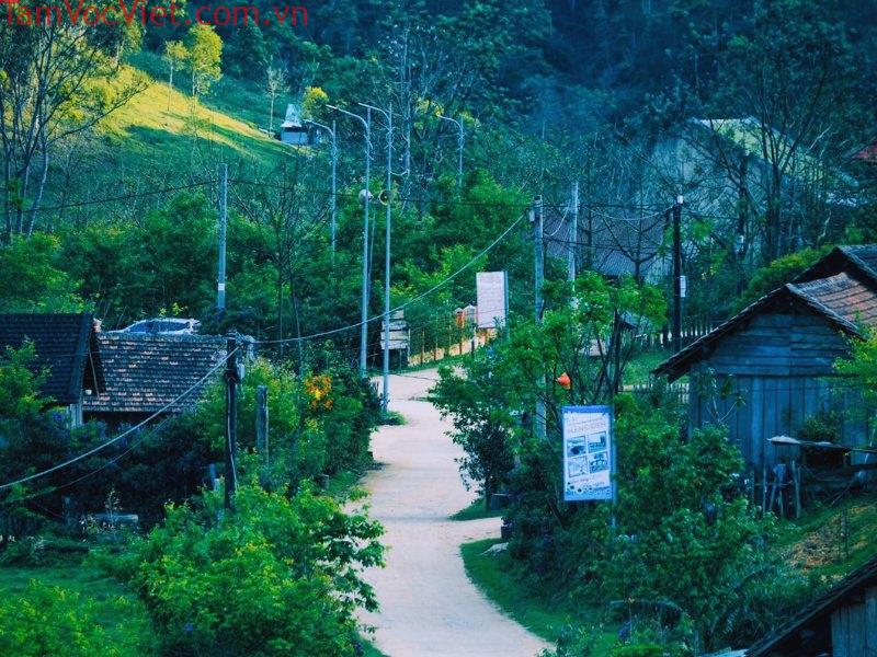 Giá Vé Các Điểm Tham Quan Ở Măng Đen - Măng Đen Trip