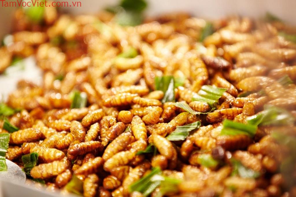 Nhộng ong – dùng sao cho bổ dưỡng