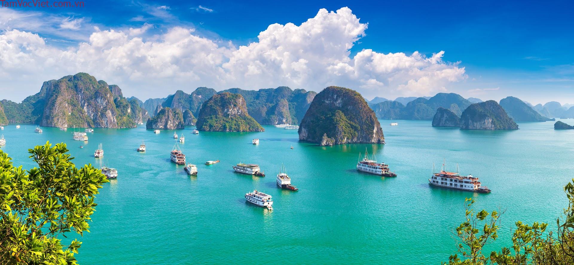 5 địa điểm du lịch ở Hạ Long tuyệt đẹp không thể bỏ lỡ | Vietjet Air