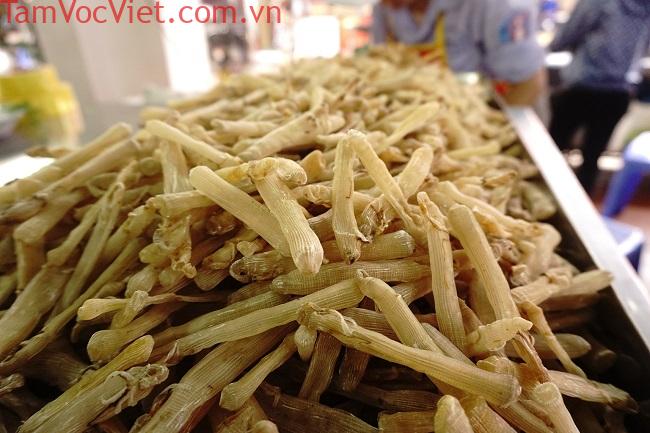 Sá sùng có tác dụng gì? Tại sao giá lên đến 3 – 5 triệu đồng/kg?