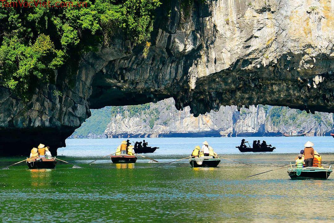 Top 9 hang động Hạ Long quyến rũ nhất nên ghé thăm | Justfly.vn